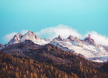 华体会登录入口-谷爱凌:2025年是网暴谣言最严重的一年,也是最难的一年